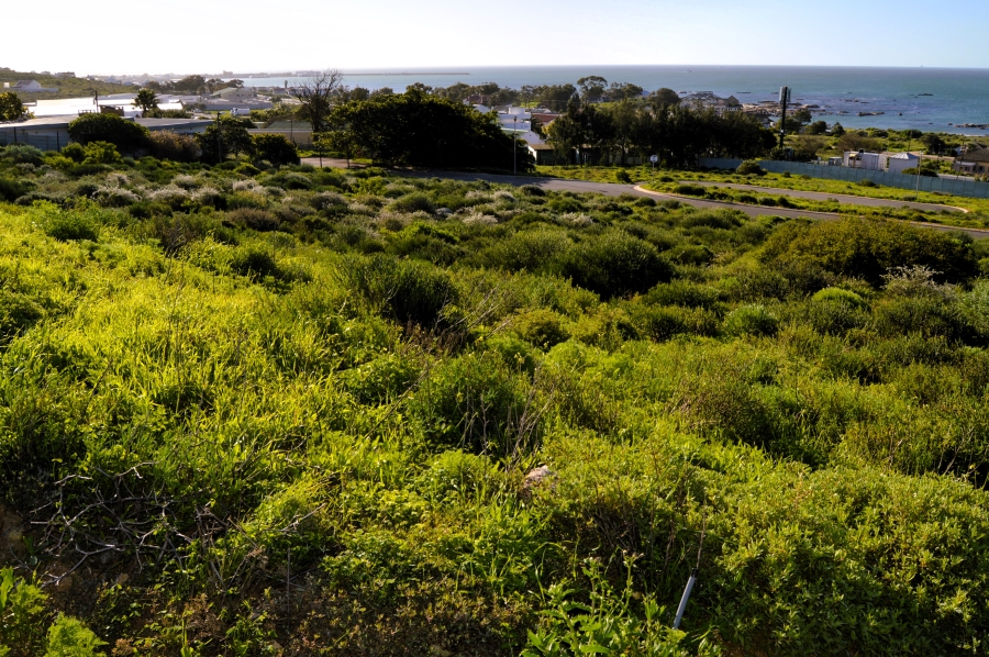 0 Bedroom Property for Sale in Steenbergs Cove Western Cape